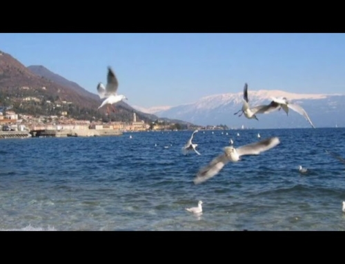 Uma pequena excursão no maior lago da Itália, o Lago de Garda